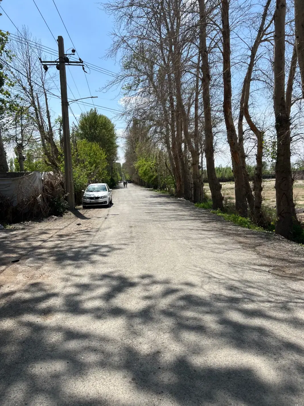 زمین باغی