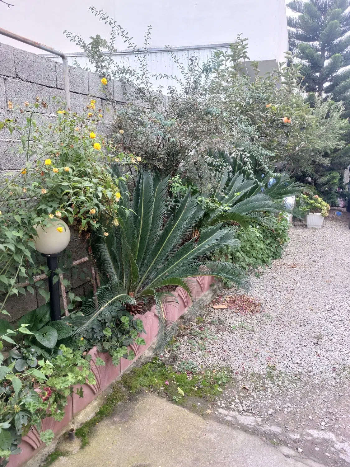رهن سوئیت سالیانه