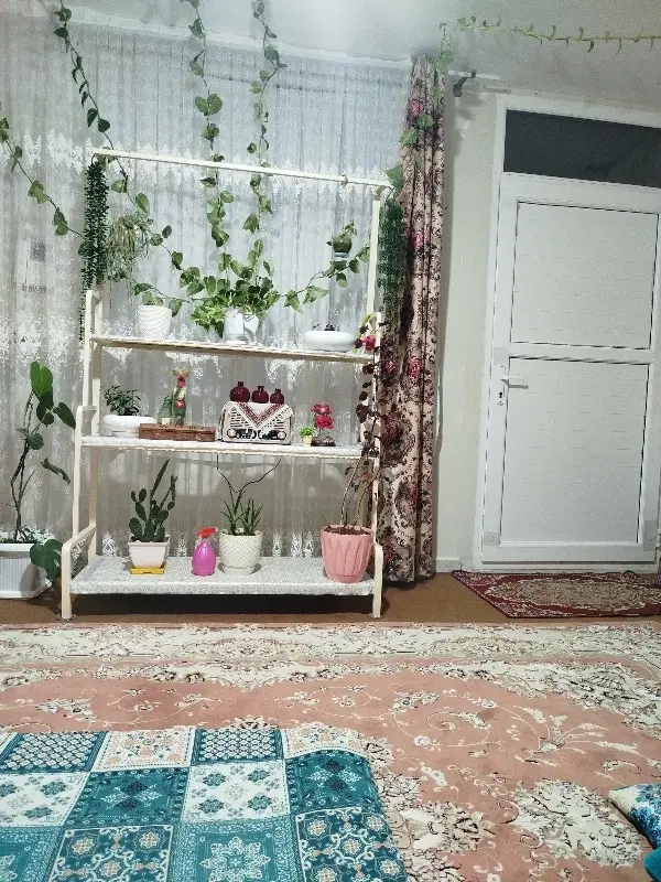 اجاره واحد مسکونی