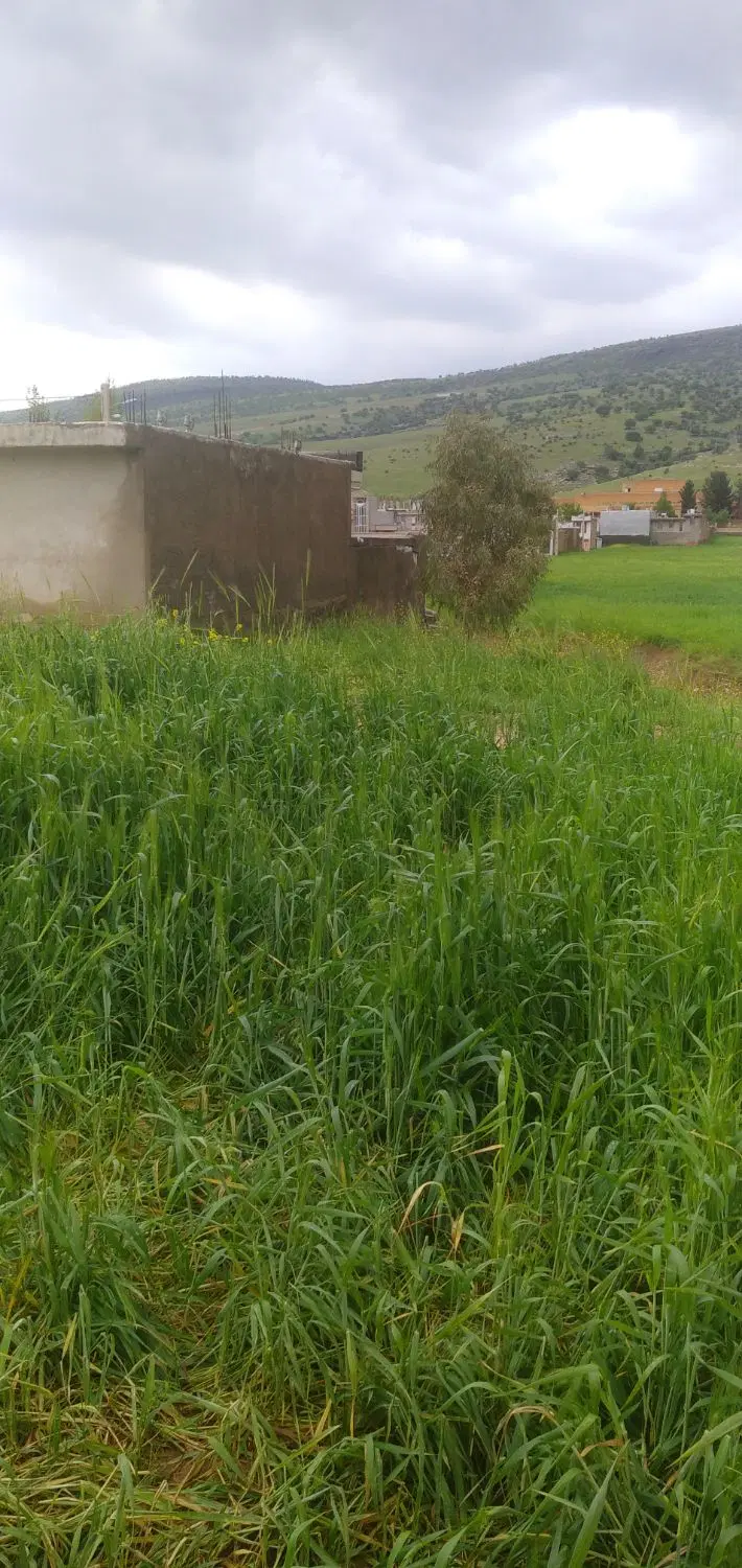 زمین سرابله