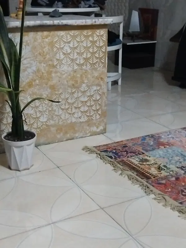 همخانه خانم