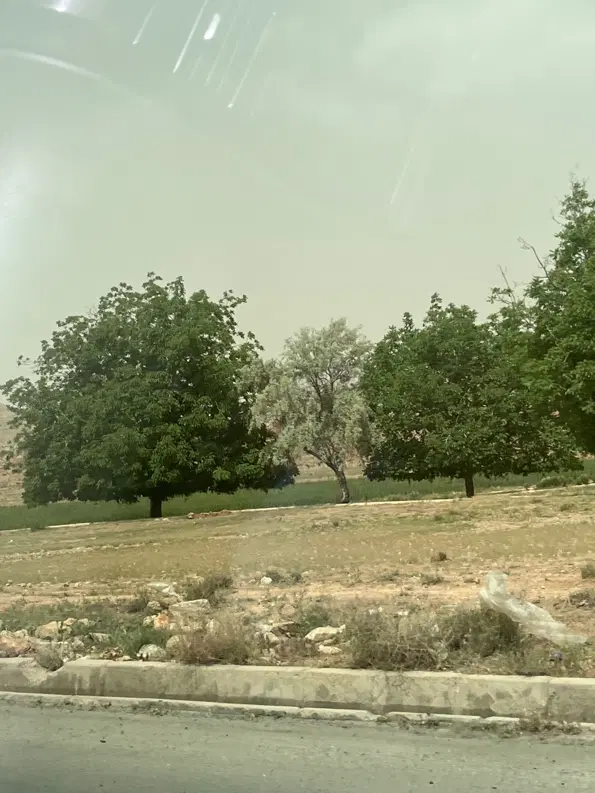 زمین بهداشت دونبش