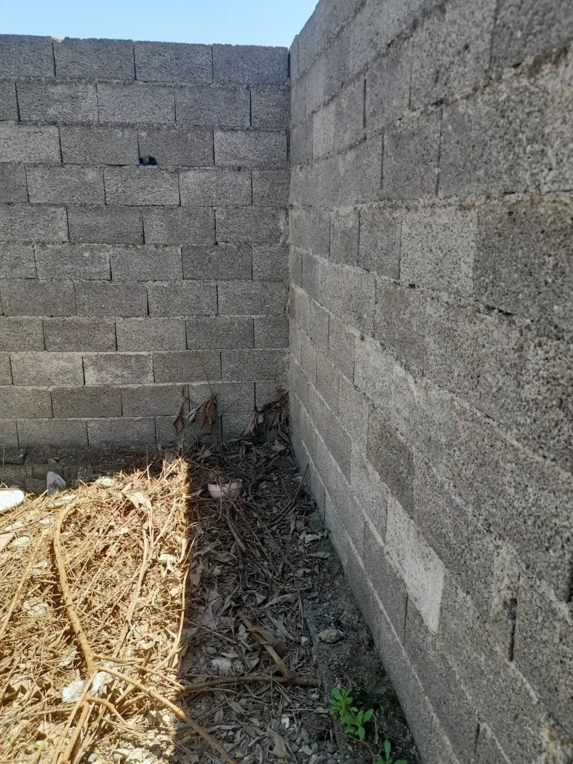 زمین مسکونی شهری