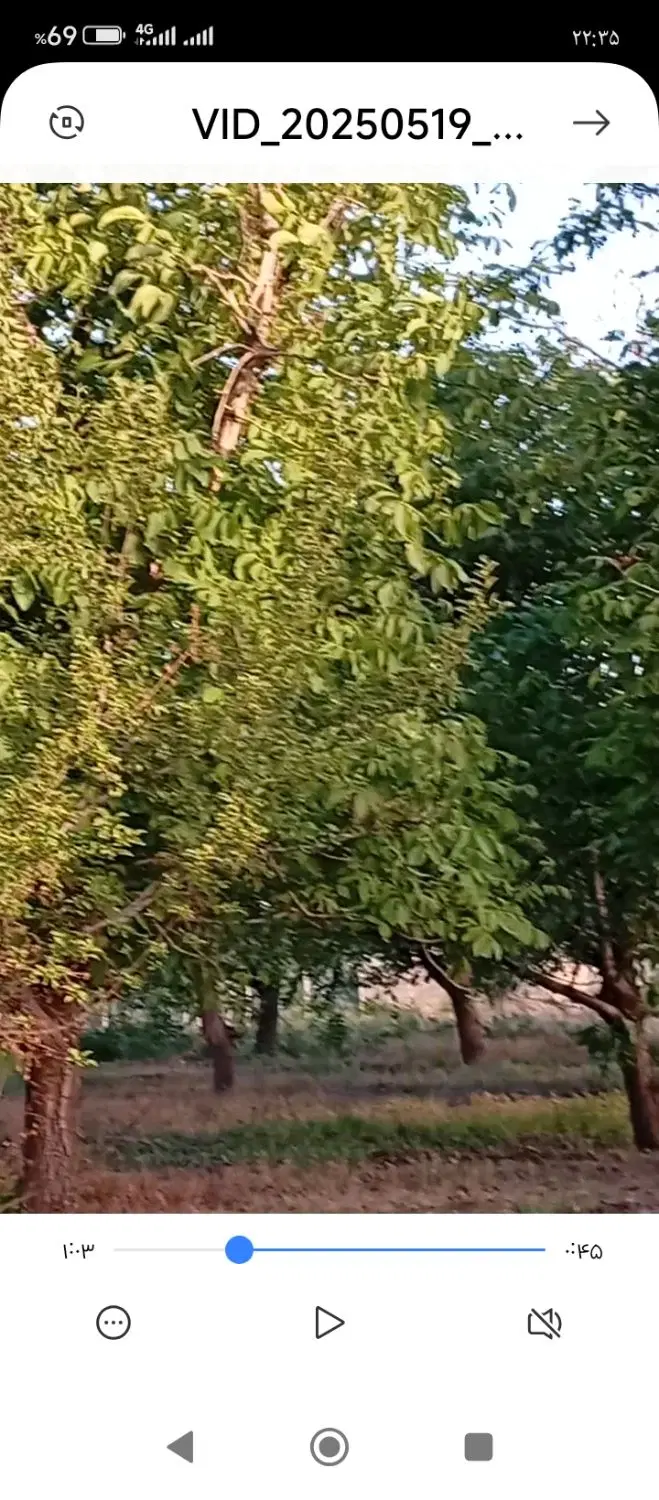 باغ گردو سنتو مقدم