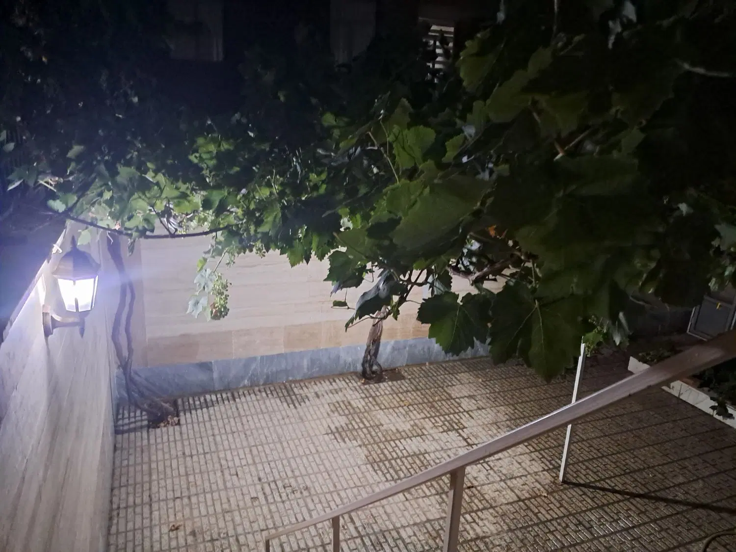 زمین کنار جاده اصلی