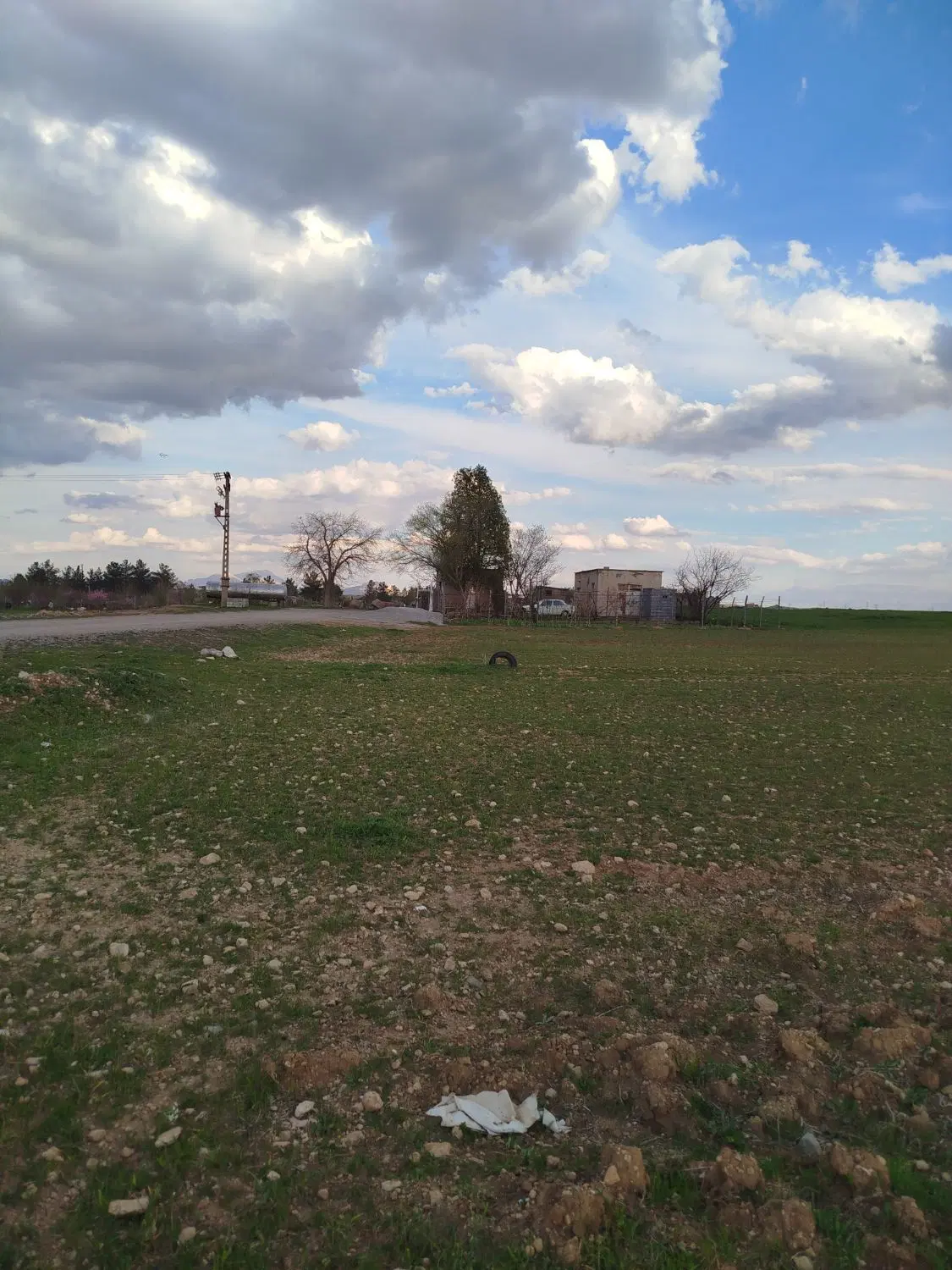 زمین سیاه بید