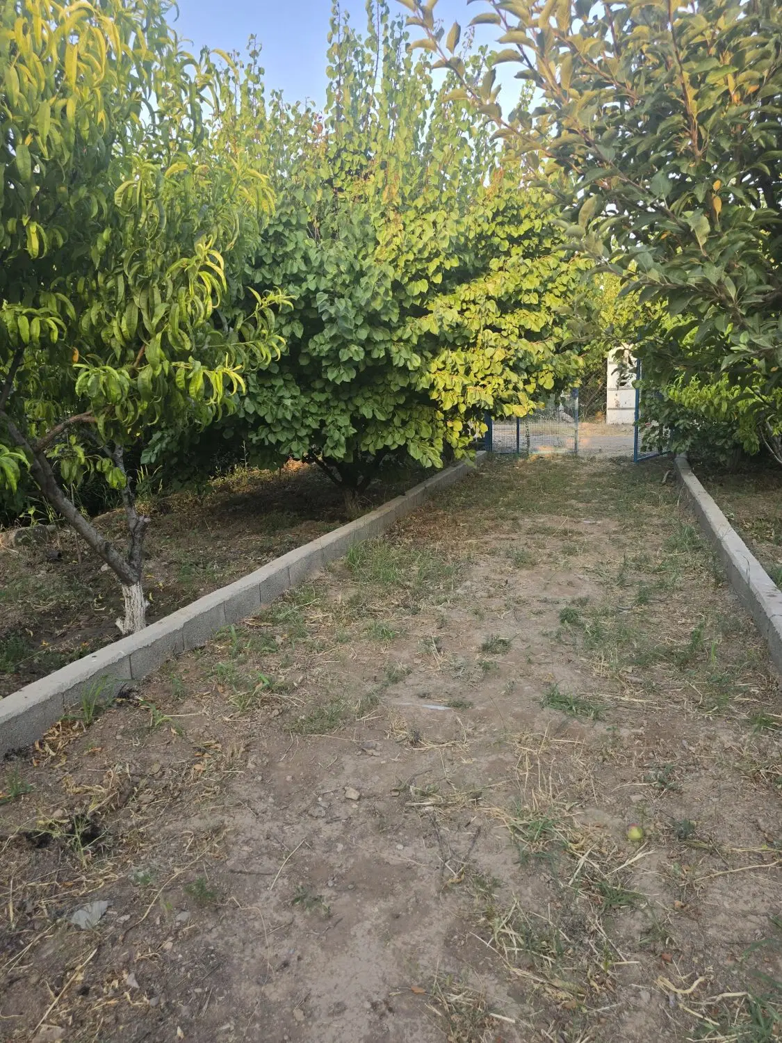 باغ زمین ۵۰۰ متری قولنامه