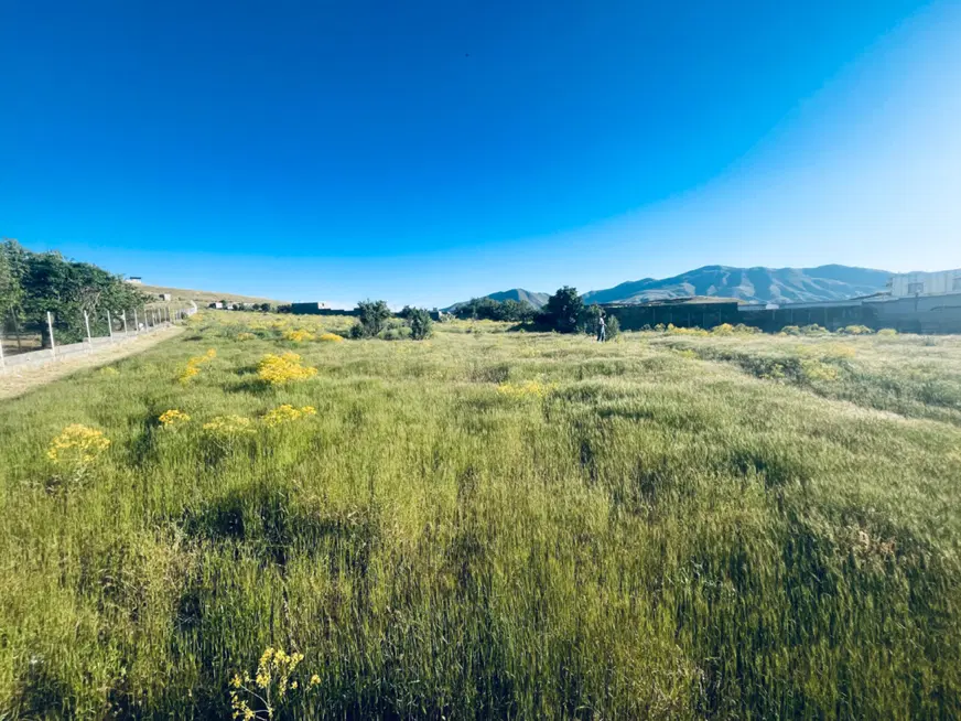 زمین کشاورزی