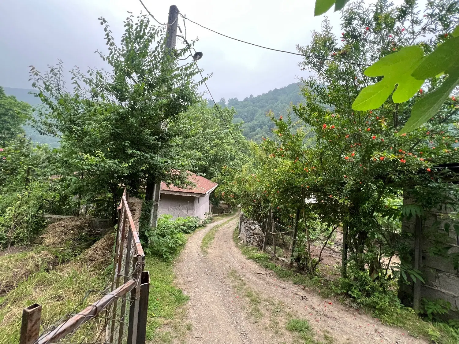 خانه ویلایی و زمین باغی