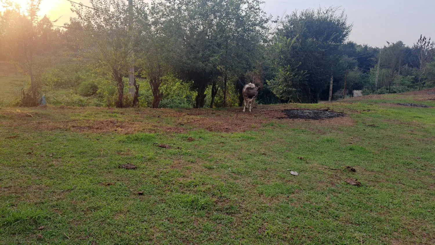 زمین مسکونی روستایی