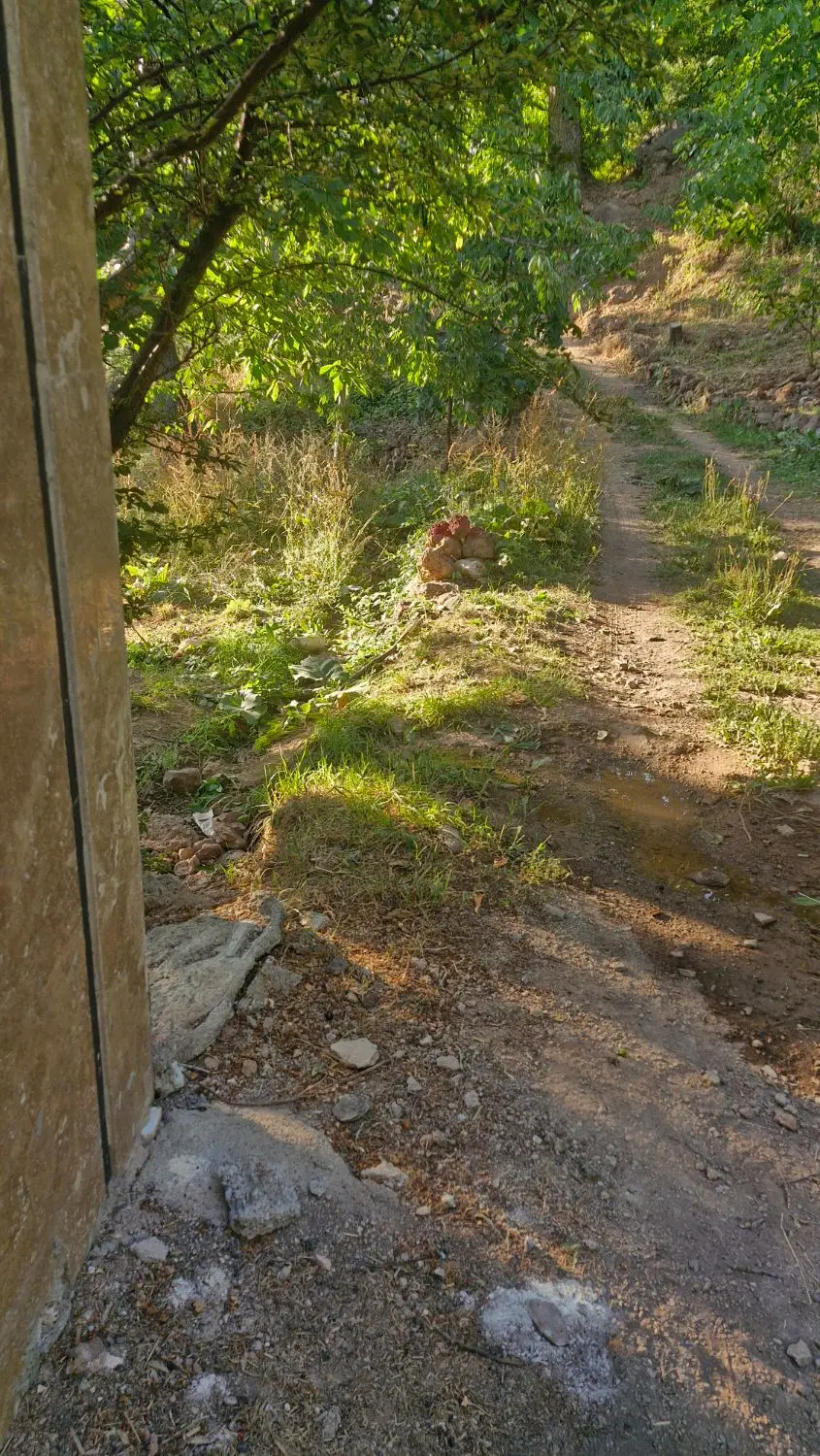 ۲۵۰ متر باغ لواسان کوچک کندعلیا