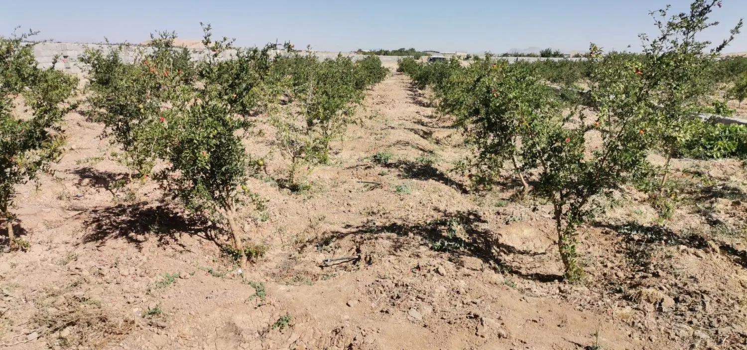 فروش باغ 1100متری