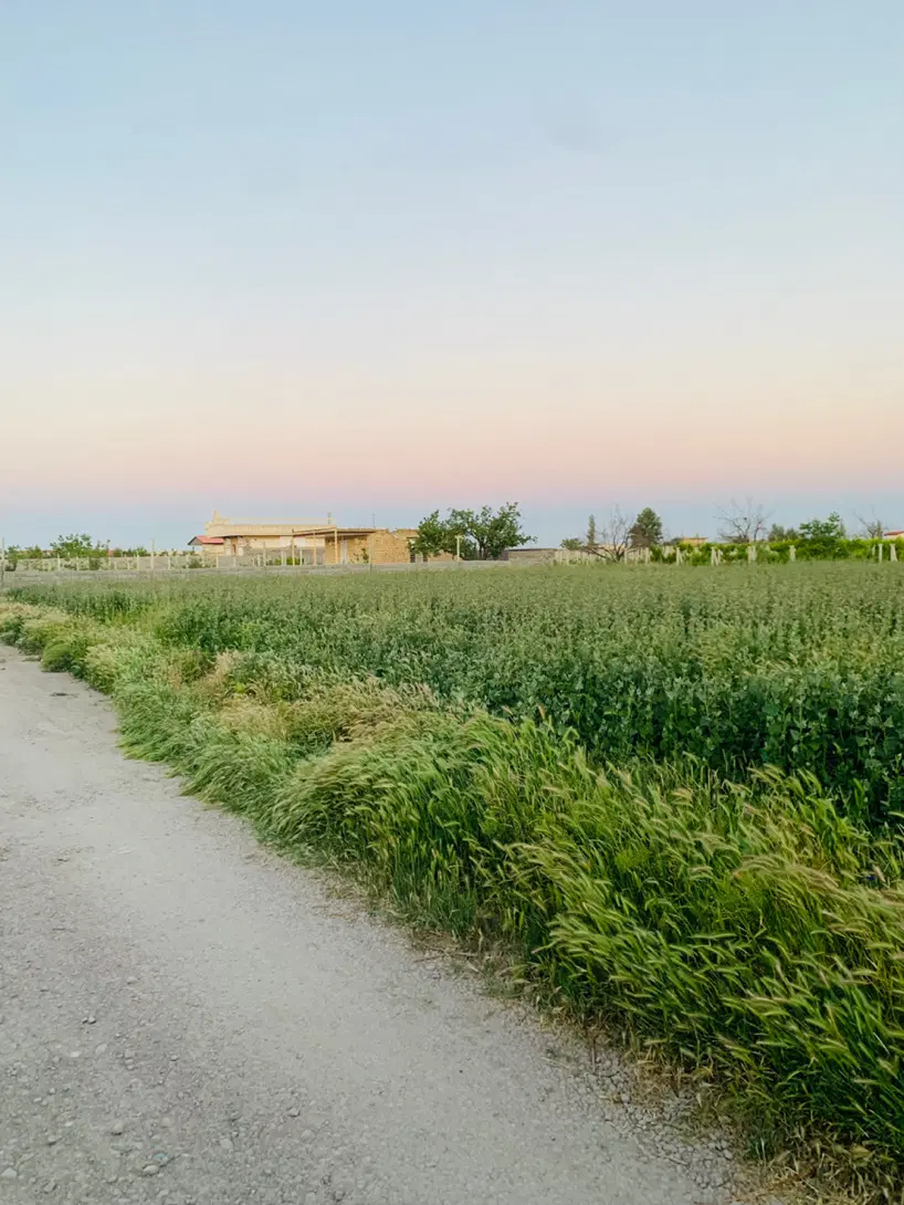 زمین باغ ویلایی جاده سنتو ۹۰۰ متر با برق و آب