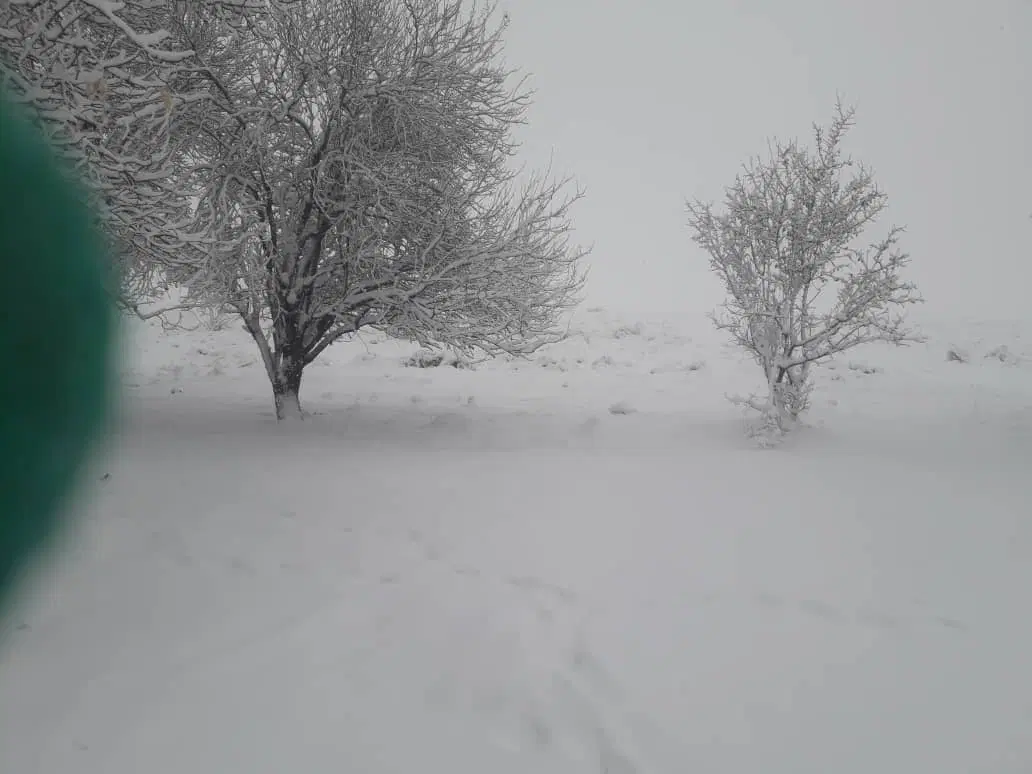 زمین باغچه