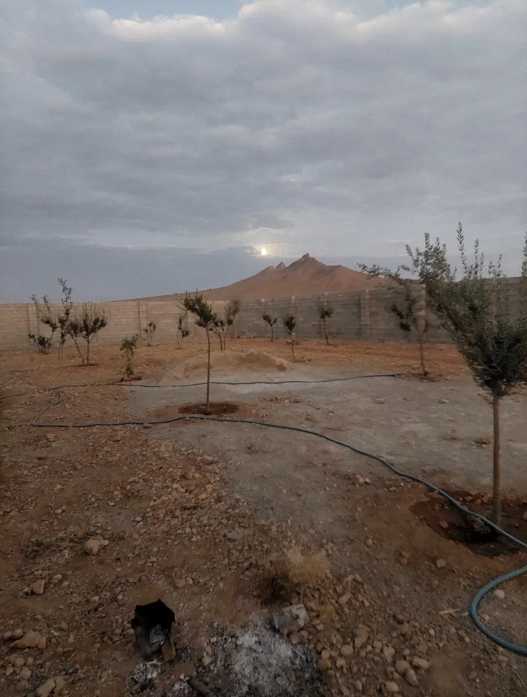 باغ شهری