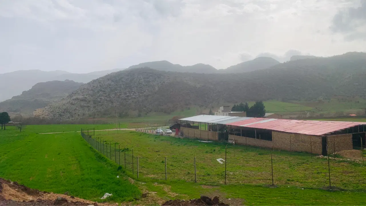 یک قطعه زمین ۲۶۴ متر موقعیت عالی