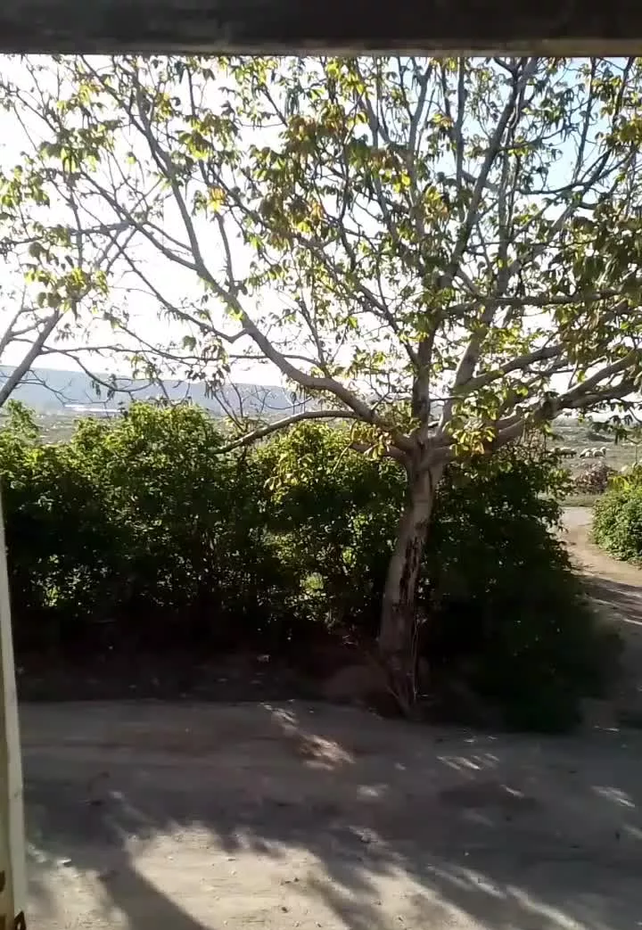 اتاق خانه ویلا اجاره کوتاه مدت