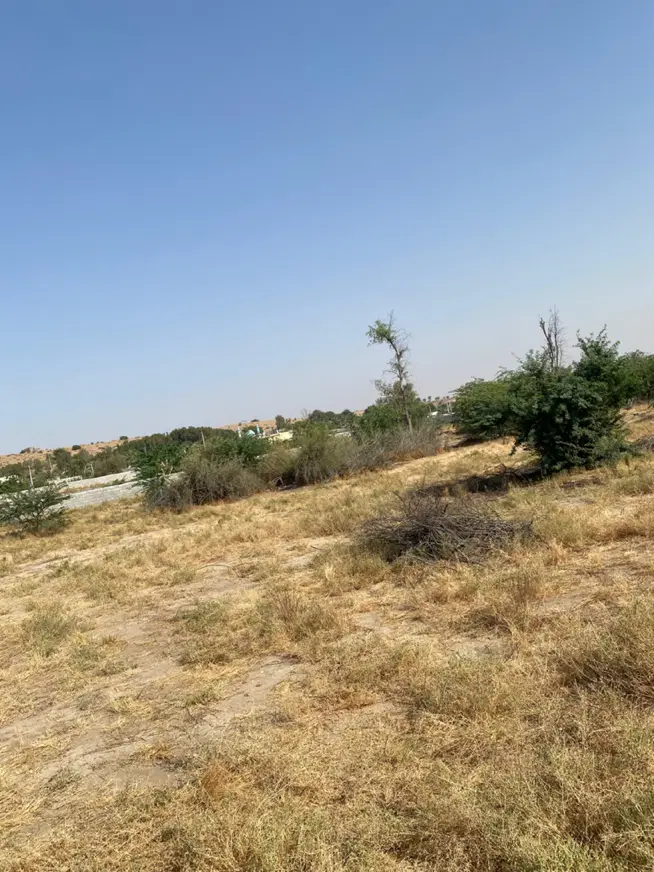 زمین برتمب
