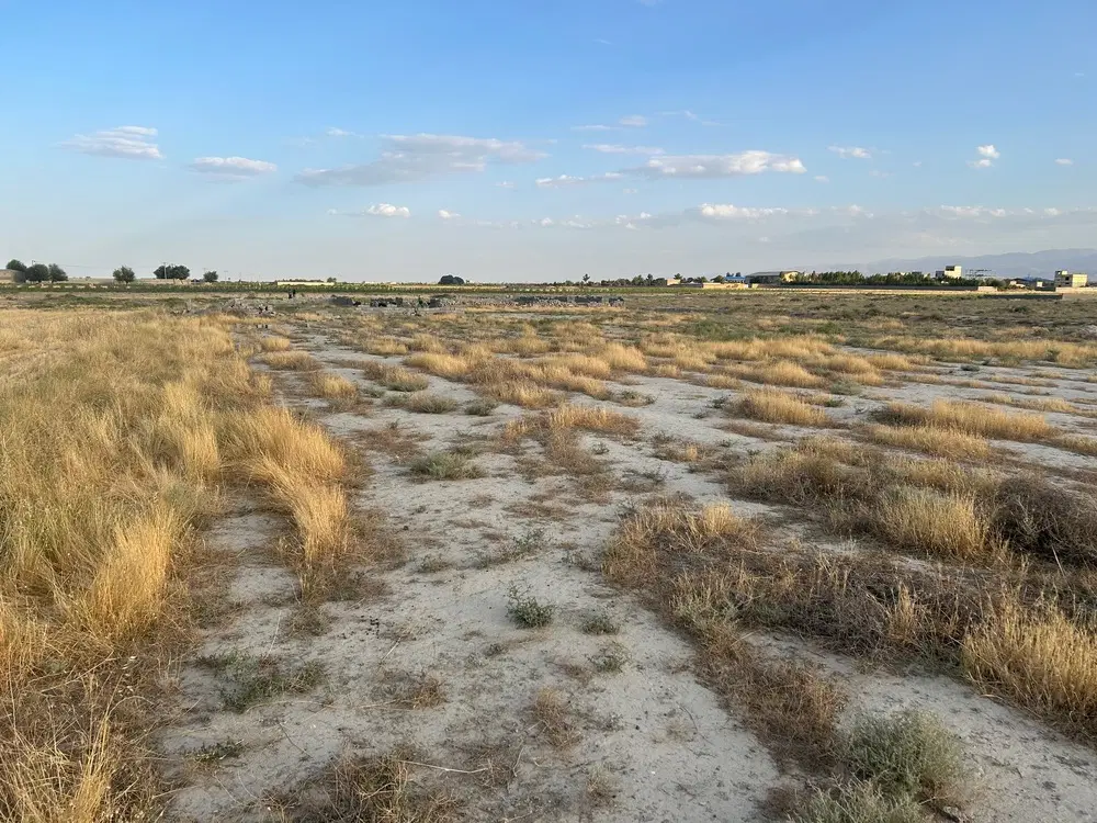 زمین فروشی قطعه بندی شده