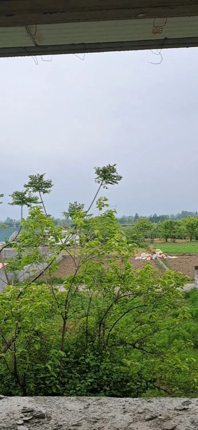 ویلائی
