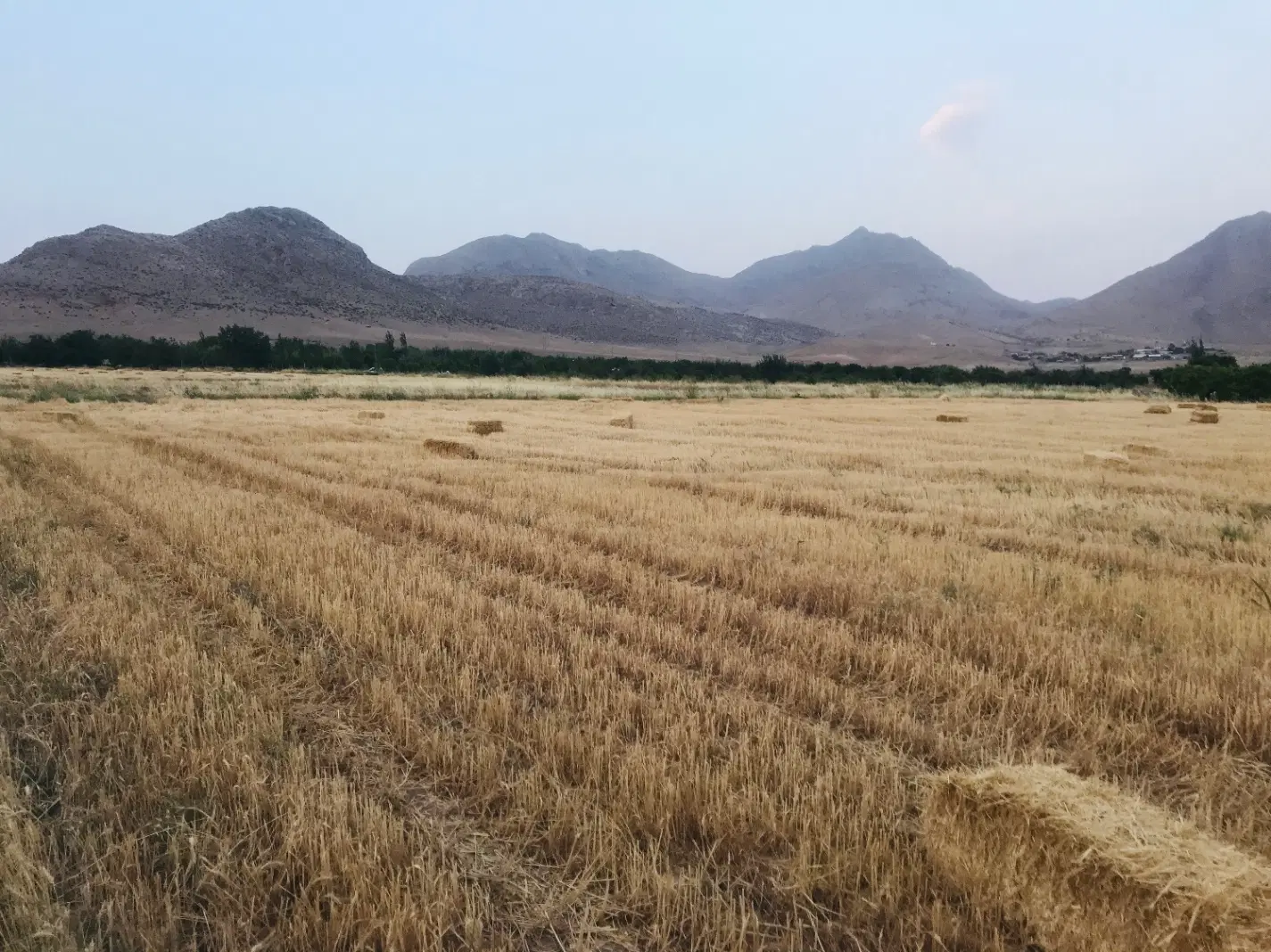 ۱۰۰۰متر زمین در فیض آباد میانکوه