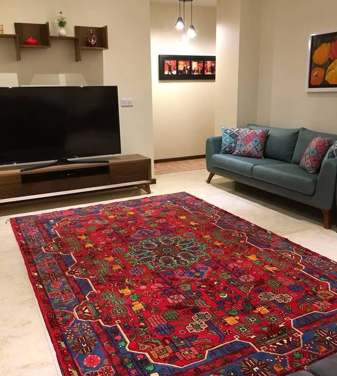 زاگرس سکنی