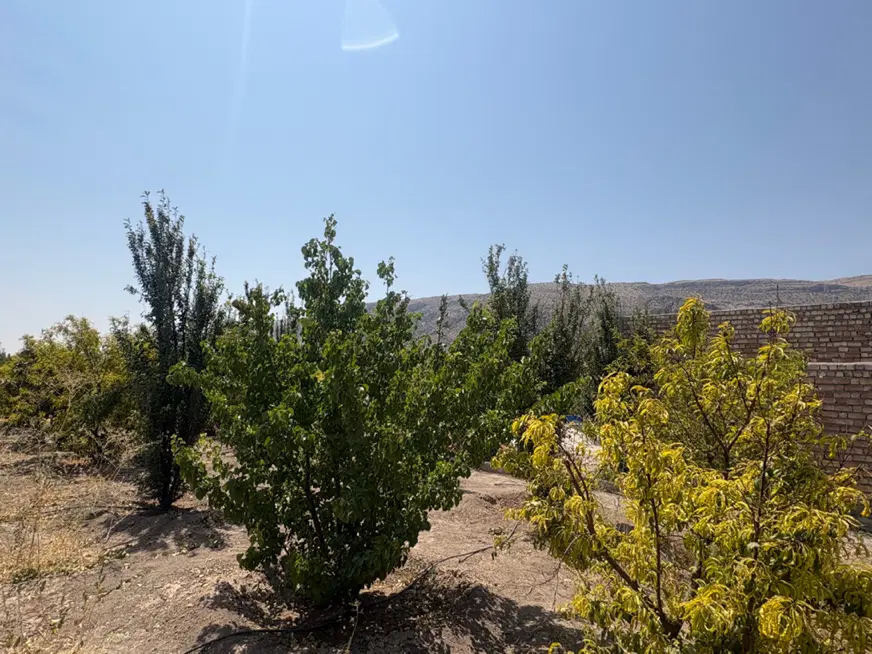۱۲۵۰متر باغ شهری حسن‌ آباد سنجرلو