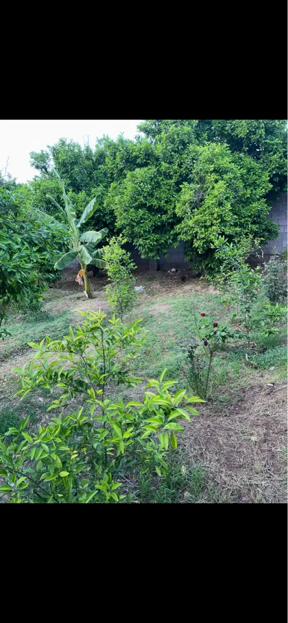 باغ ویلا شمس آباد ( قلعه ربع ) ۱۰۰۰ متر ،