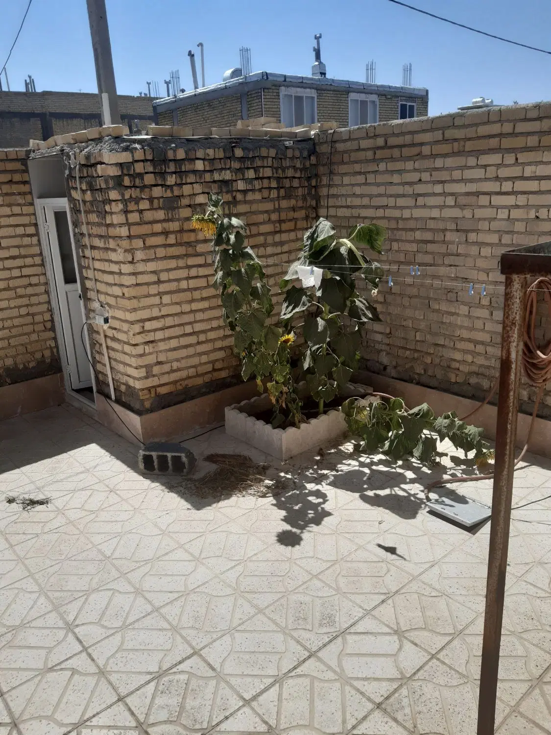 فروش زمین