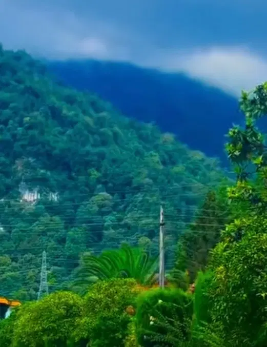 چهار دیواری زمین مناسب خونه باغ