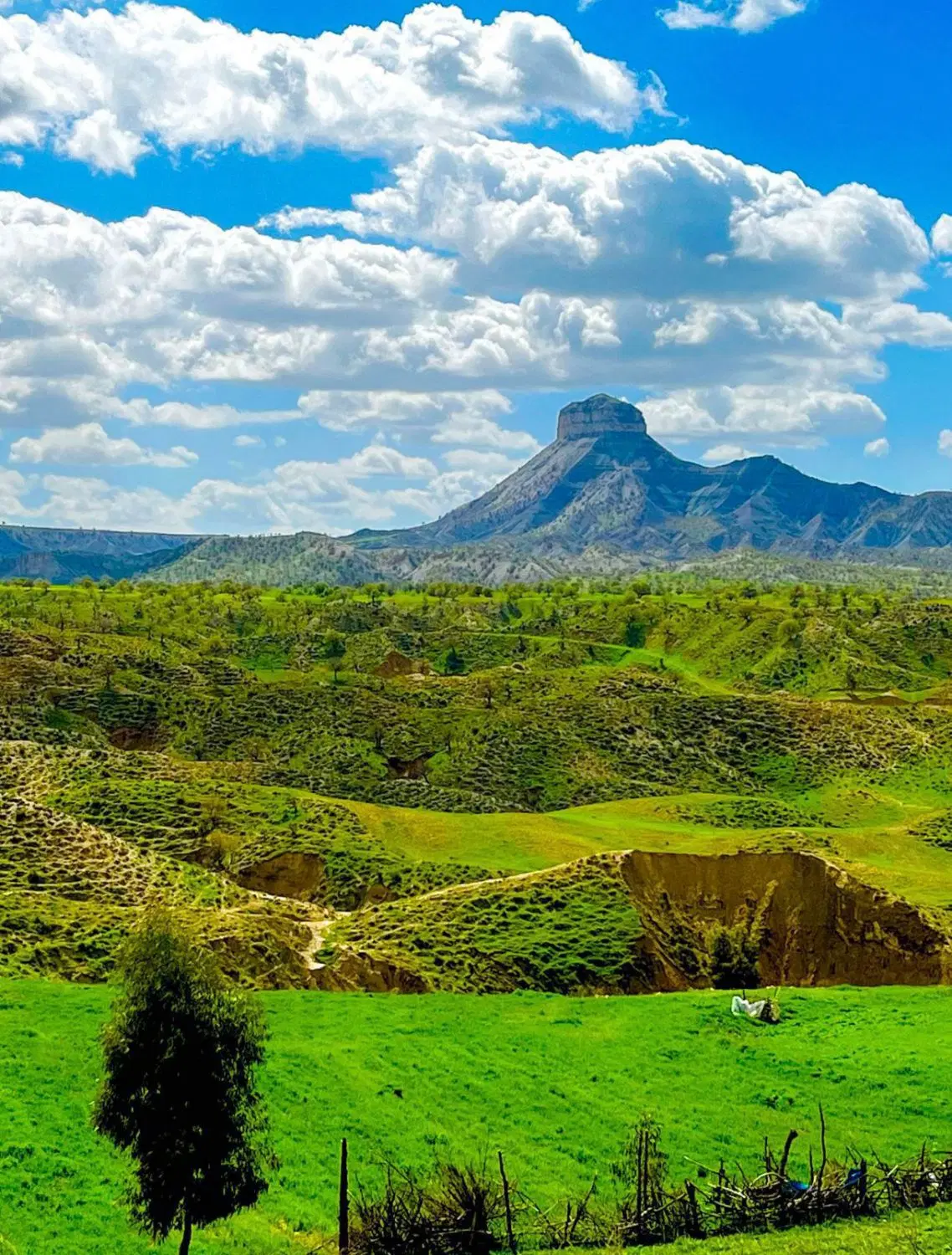 زمین