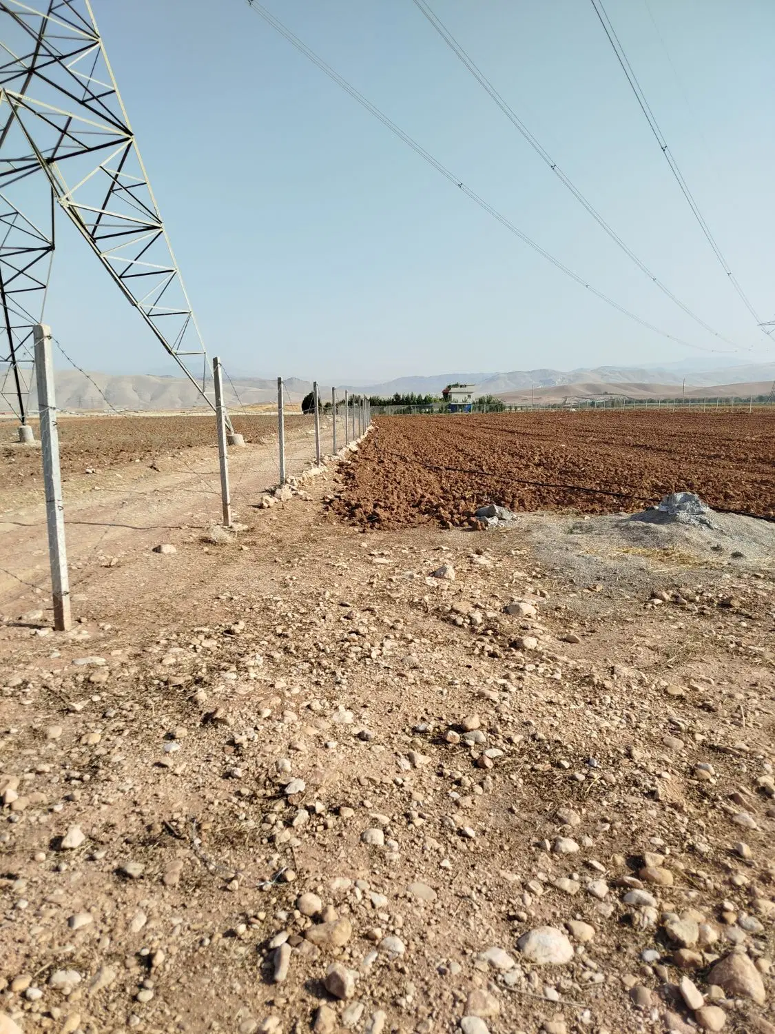زمین کشاورزی آبی