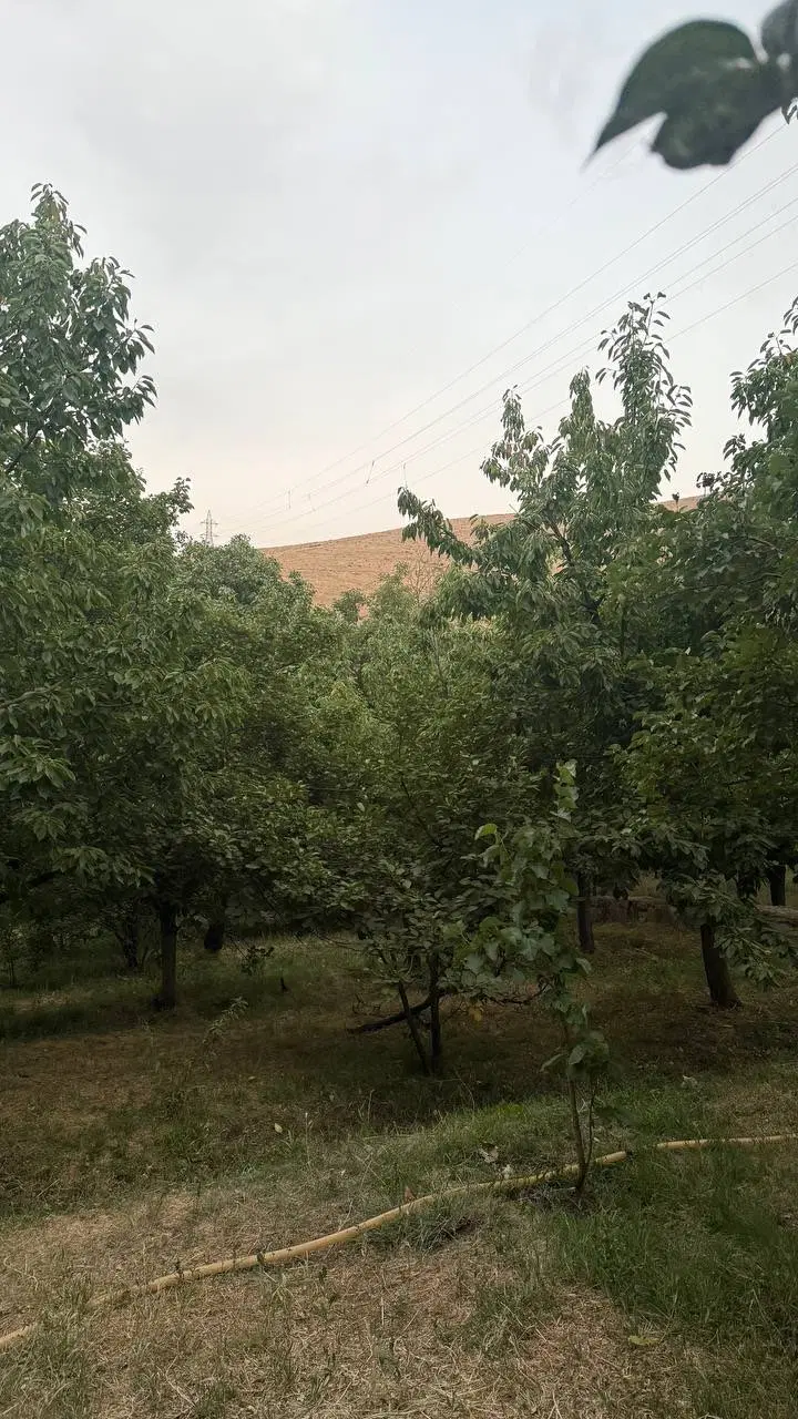 باغ دیوین