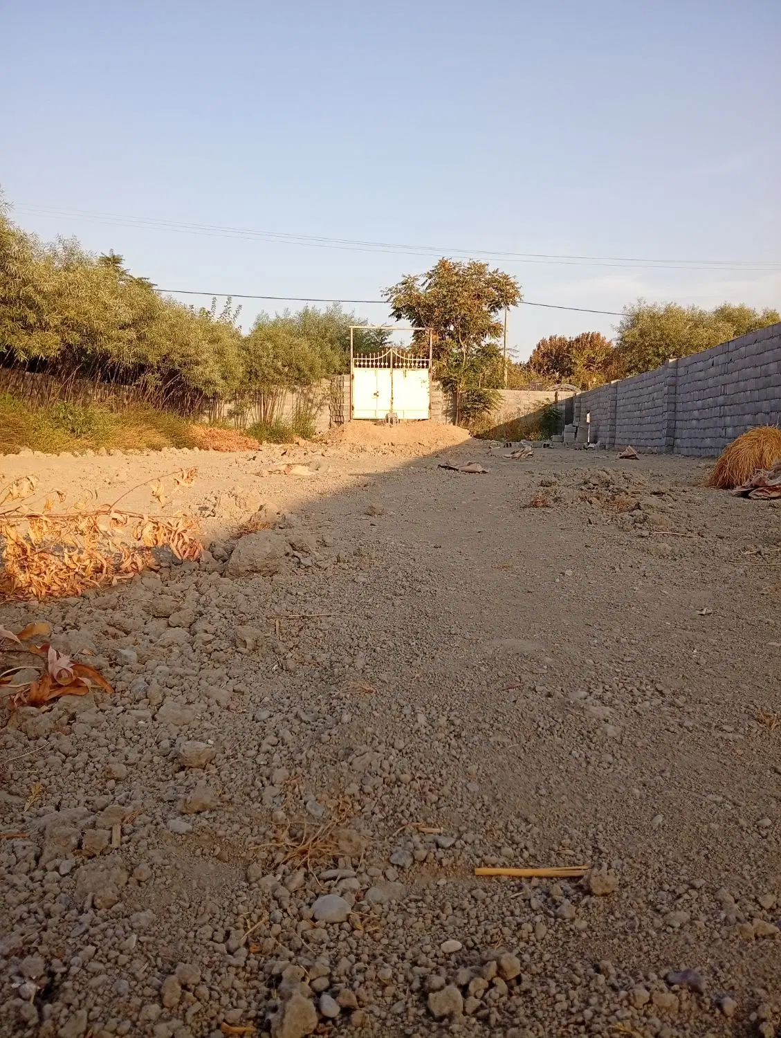 باغ و زمین