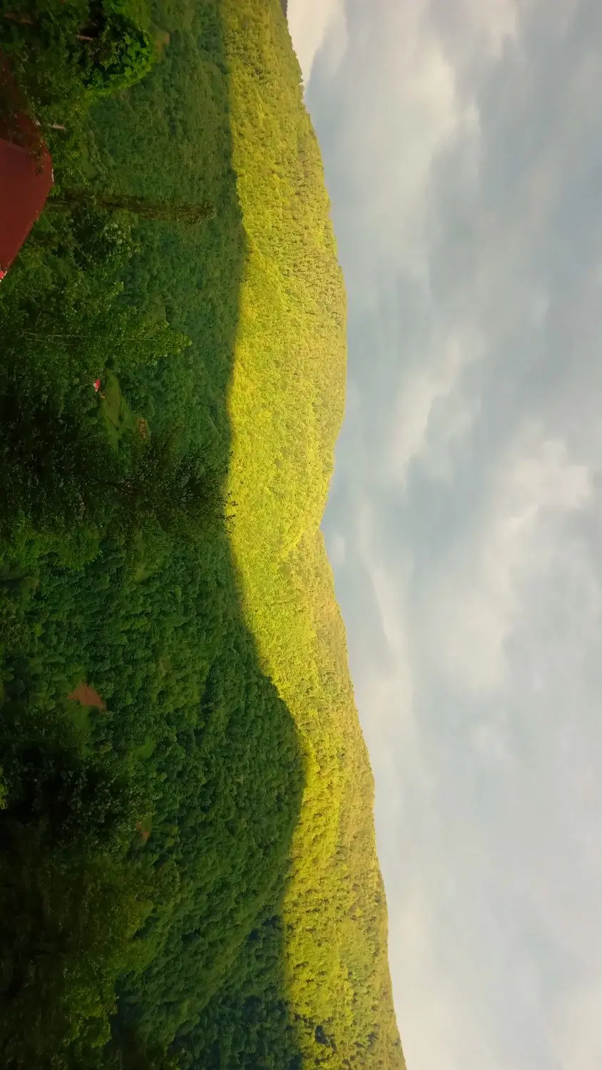 فروش زمین کاملا مسکونی در شفت(روستای کُلوان)