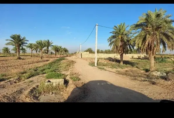 زمین ویلایی