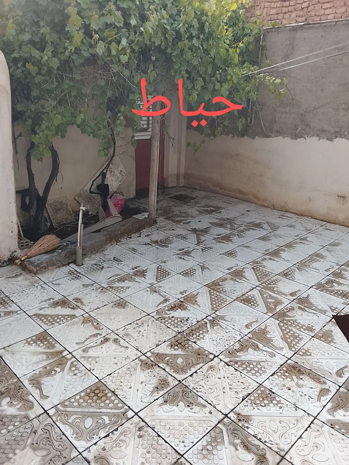 حیاط مستقل ۱۲۰متری ملازینال