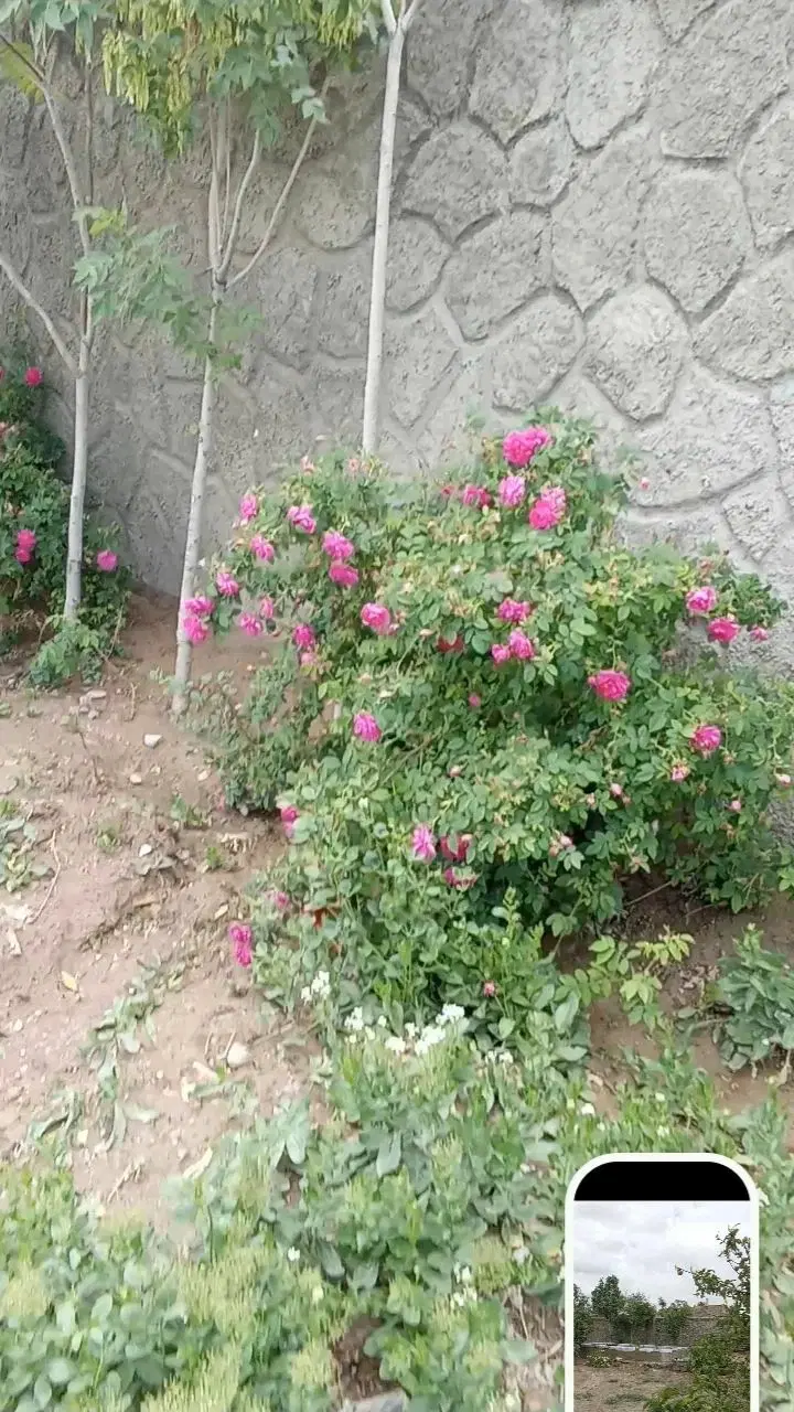 زمین و ویلا