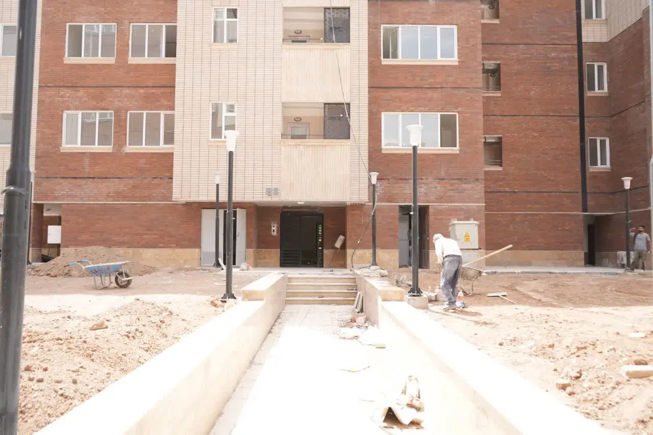 زیتون 31