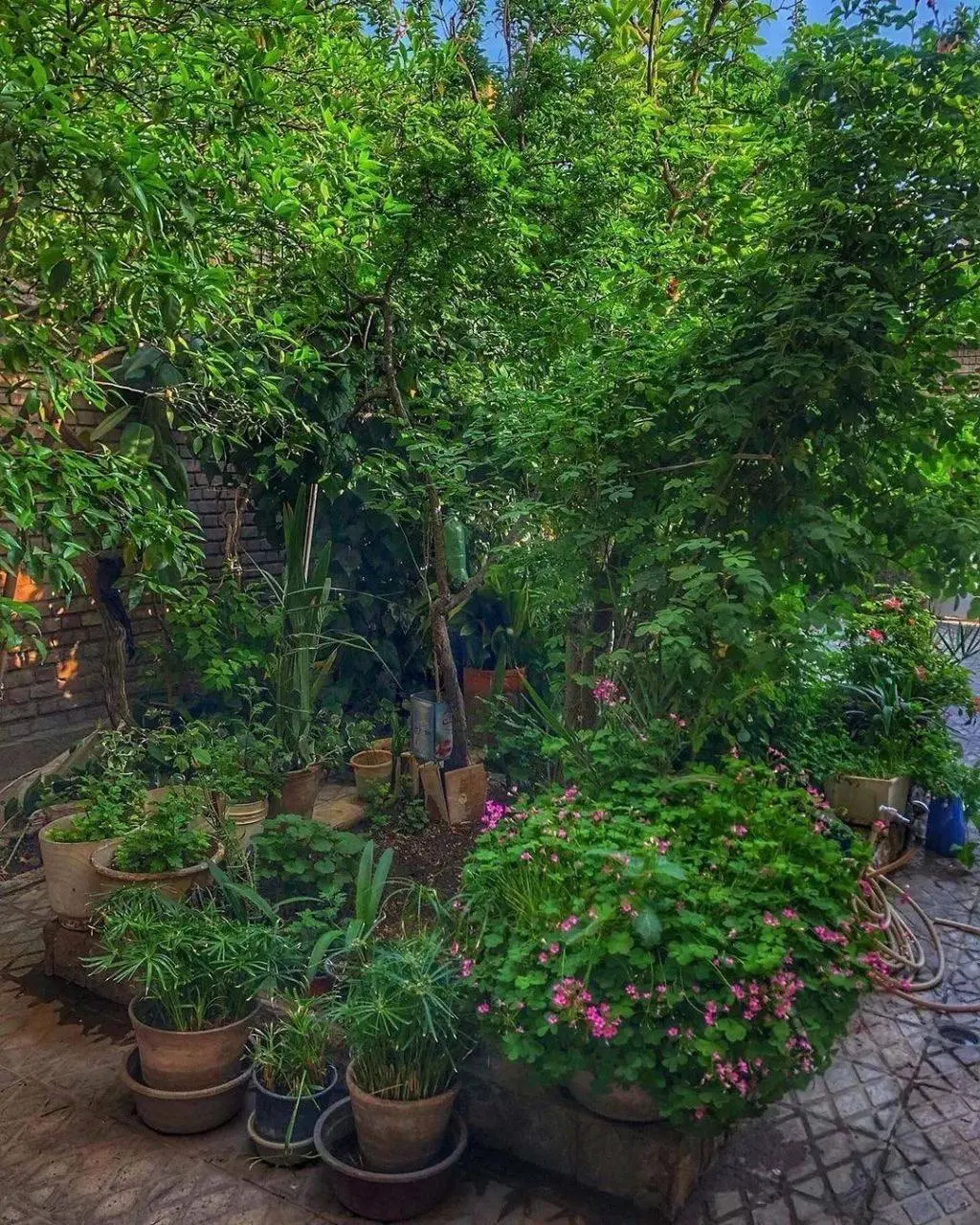 اجاره مسکونی