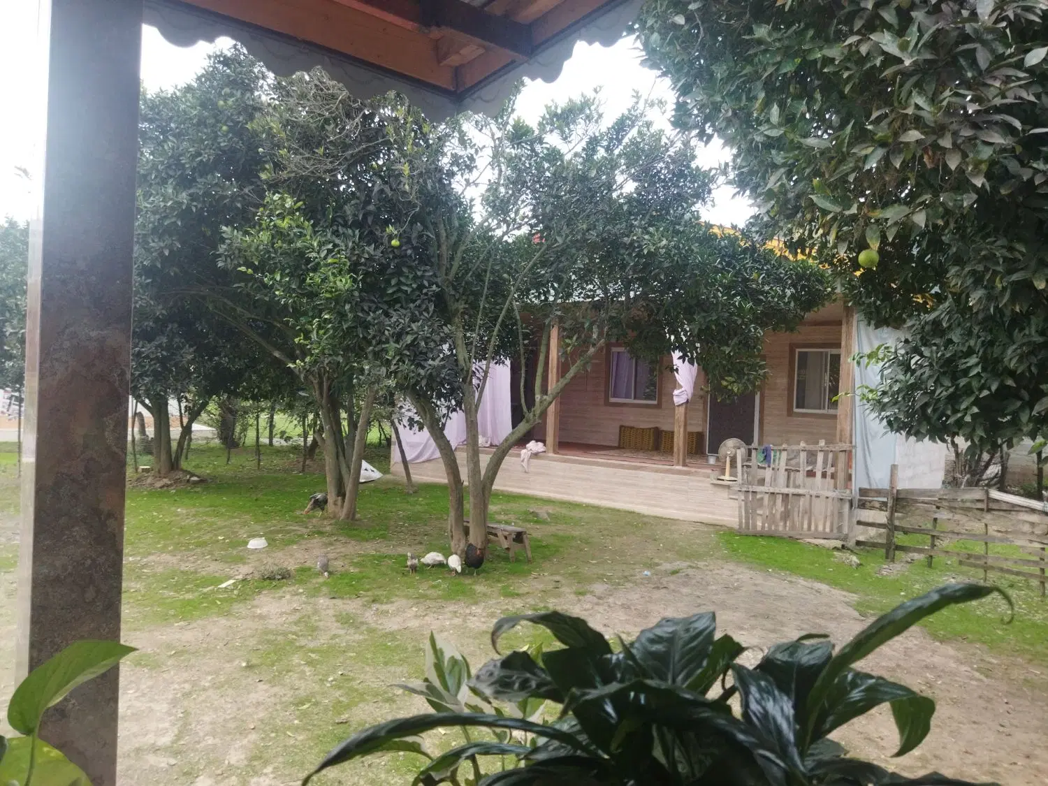 اجاره ویلایی روزانه