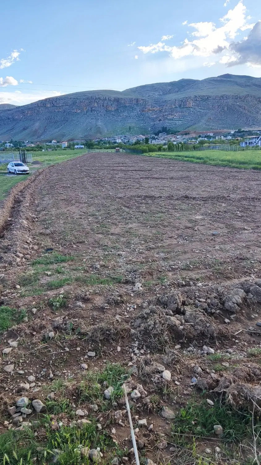 زمین مرغوب روستای رند
