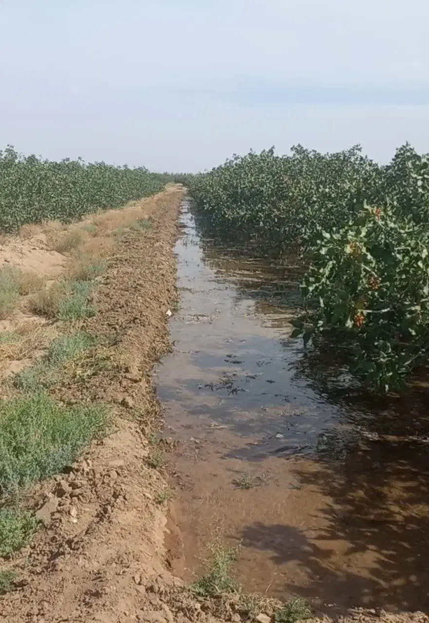 فروش فوری و زیر قیمت کارشناسی