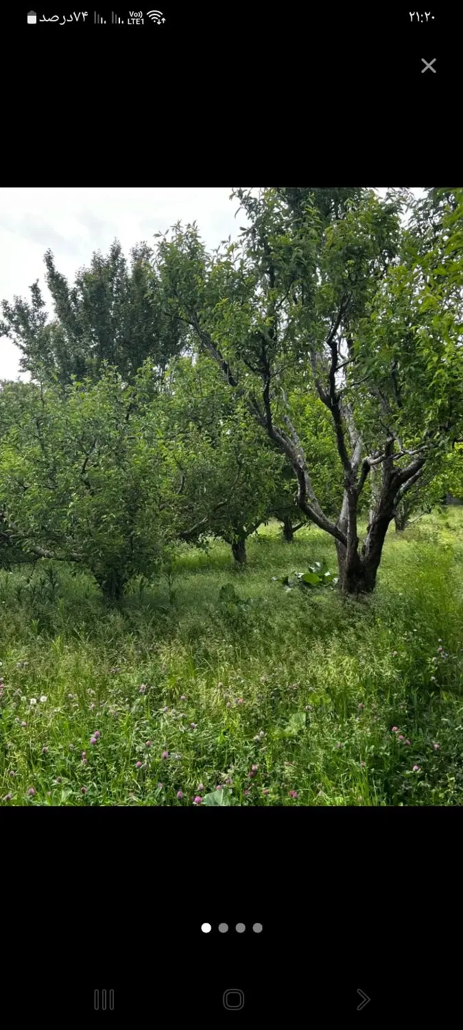 باغ انگور مجوز دار قزل عاشق(املاک جعفریان)