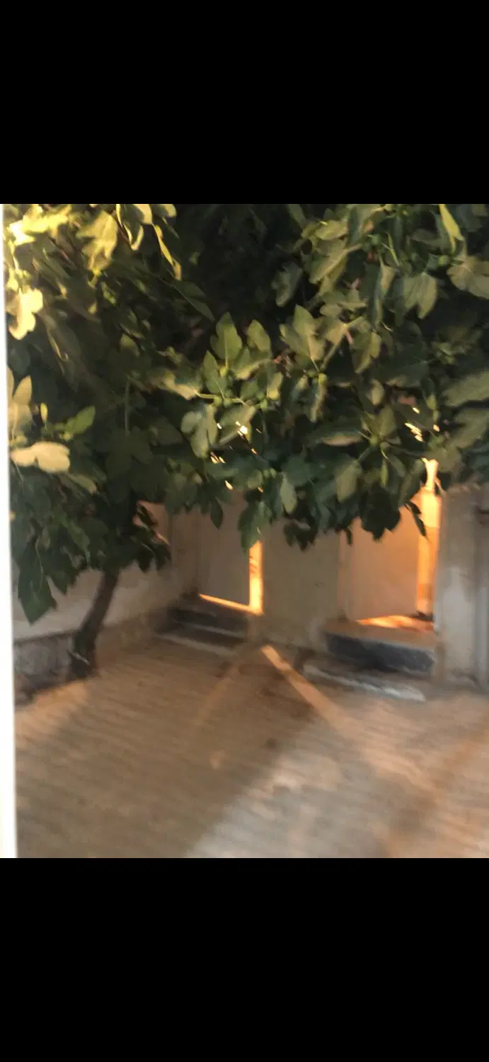 رهن و اجاره