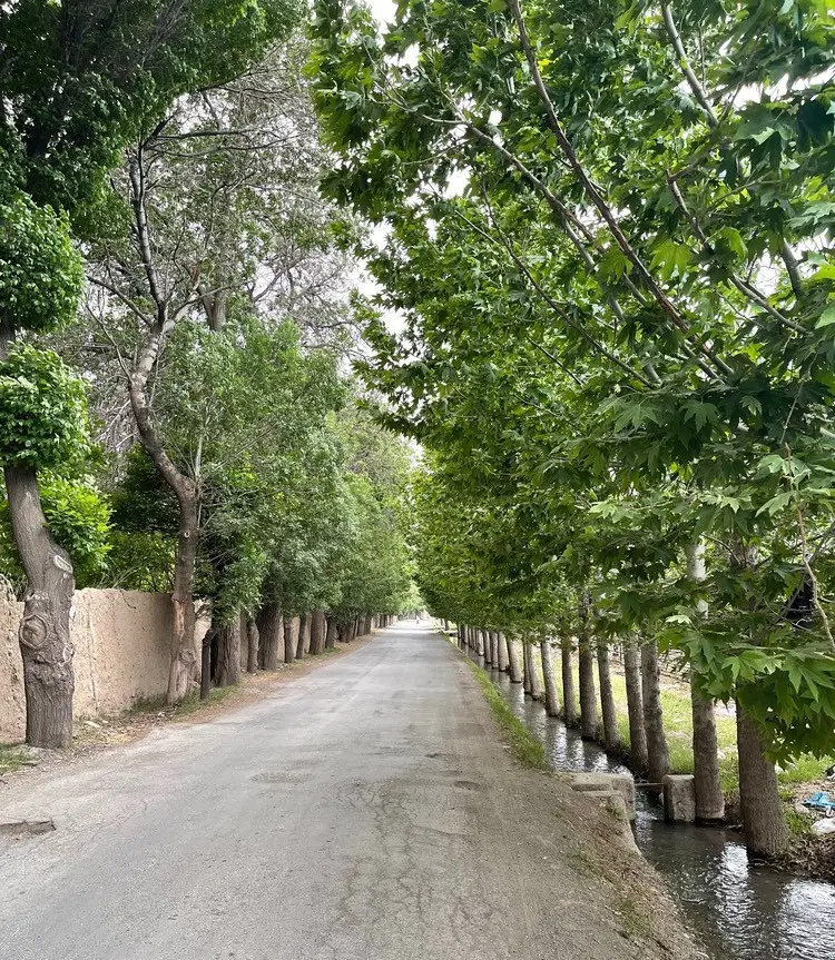 ۱۴۰۰ متر باغچه سنددار در مرکز شهر شهریار