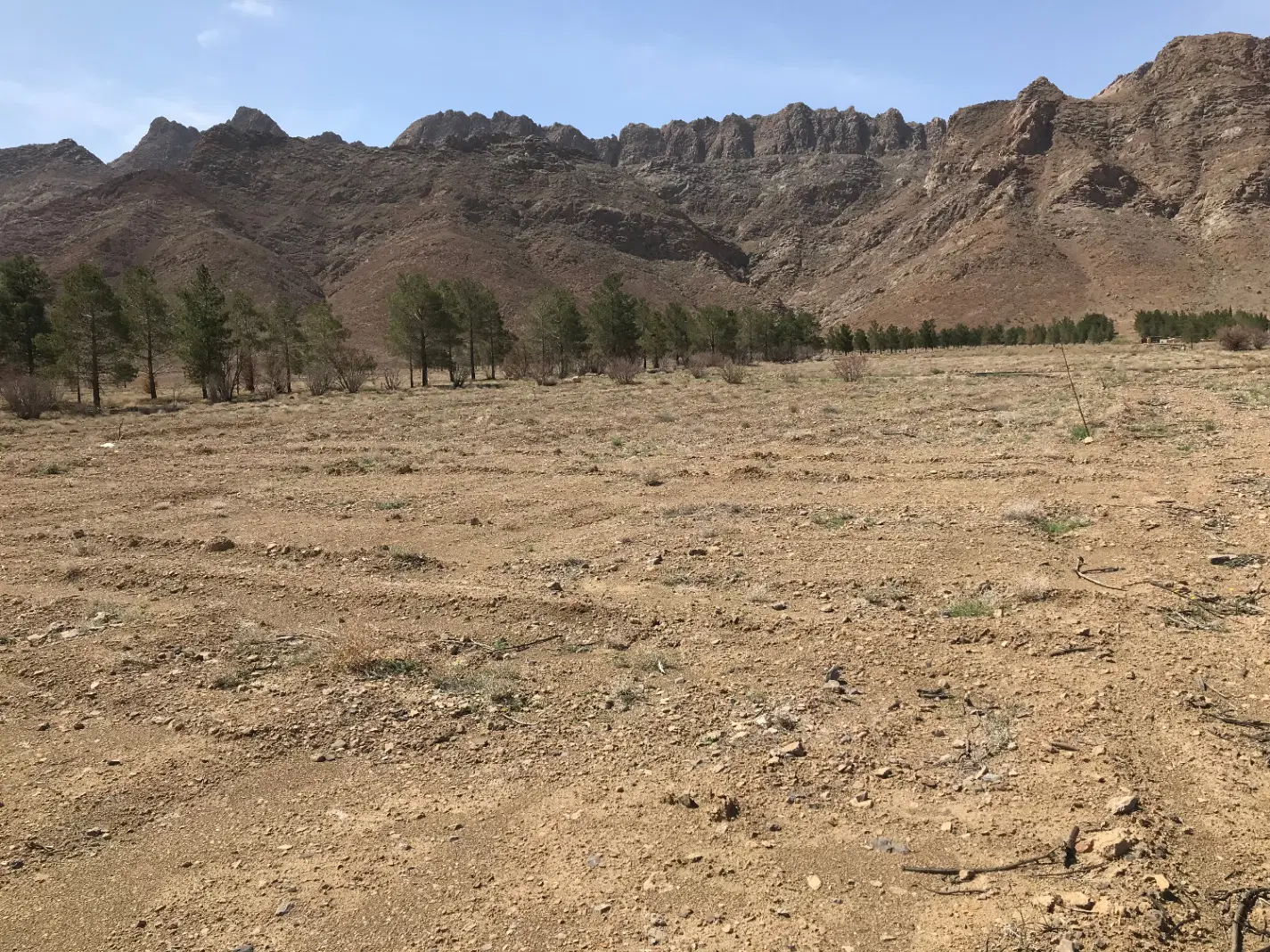 زمین نهالستان (زمین مرق روبروی بهارستان)