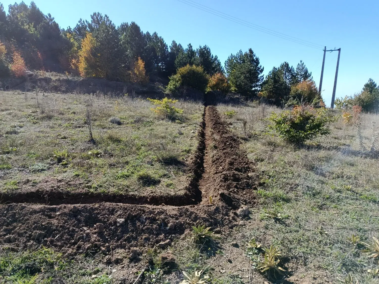 زمین 500 متری در روستای ییلاقی درازنو.