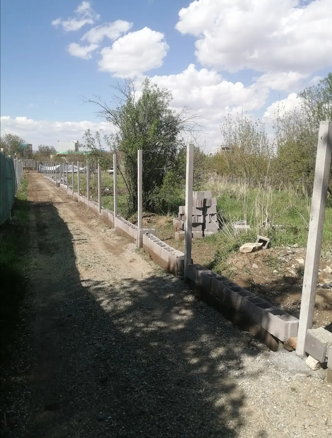 زمین باغی