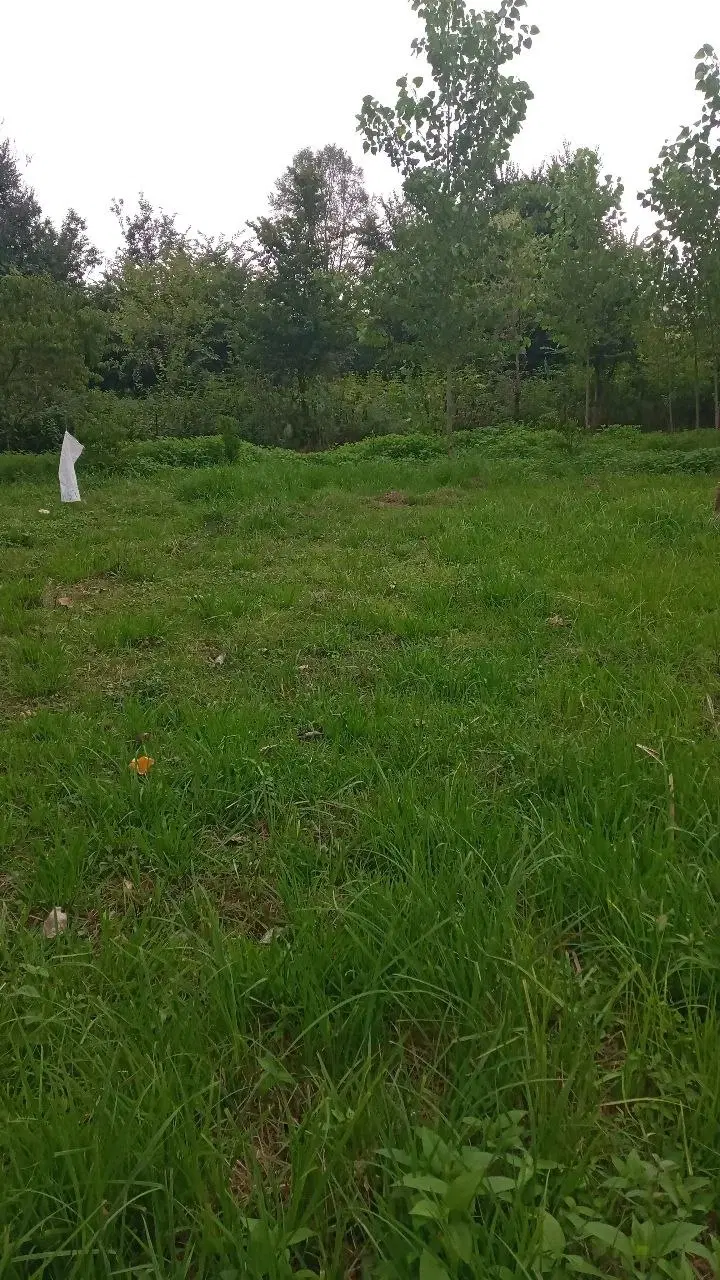 دورود ۷۸۶ مسکوی